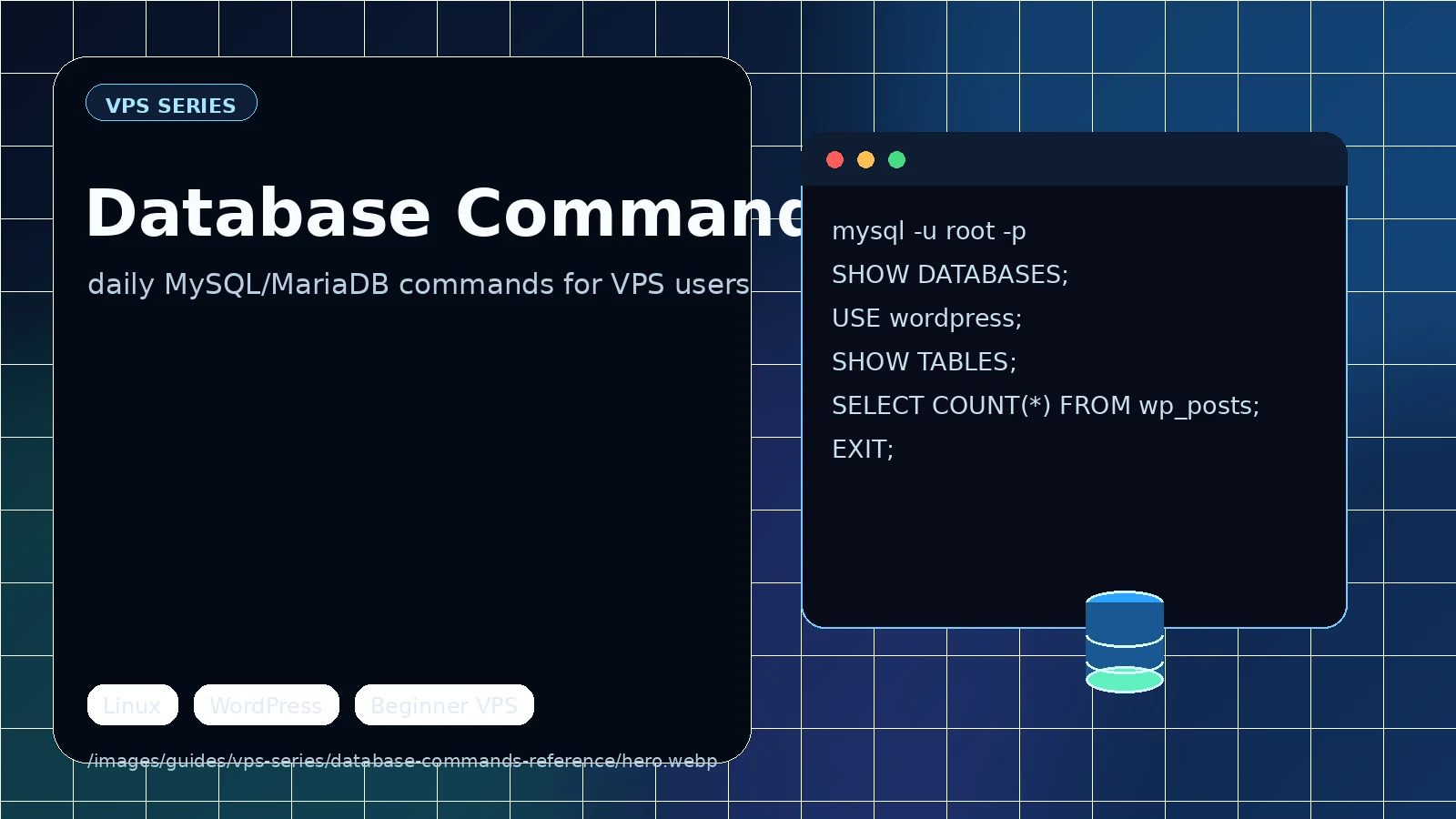 Terminal showing mysqldump command running and completing in seconds