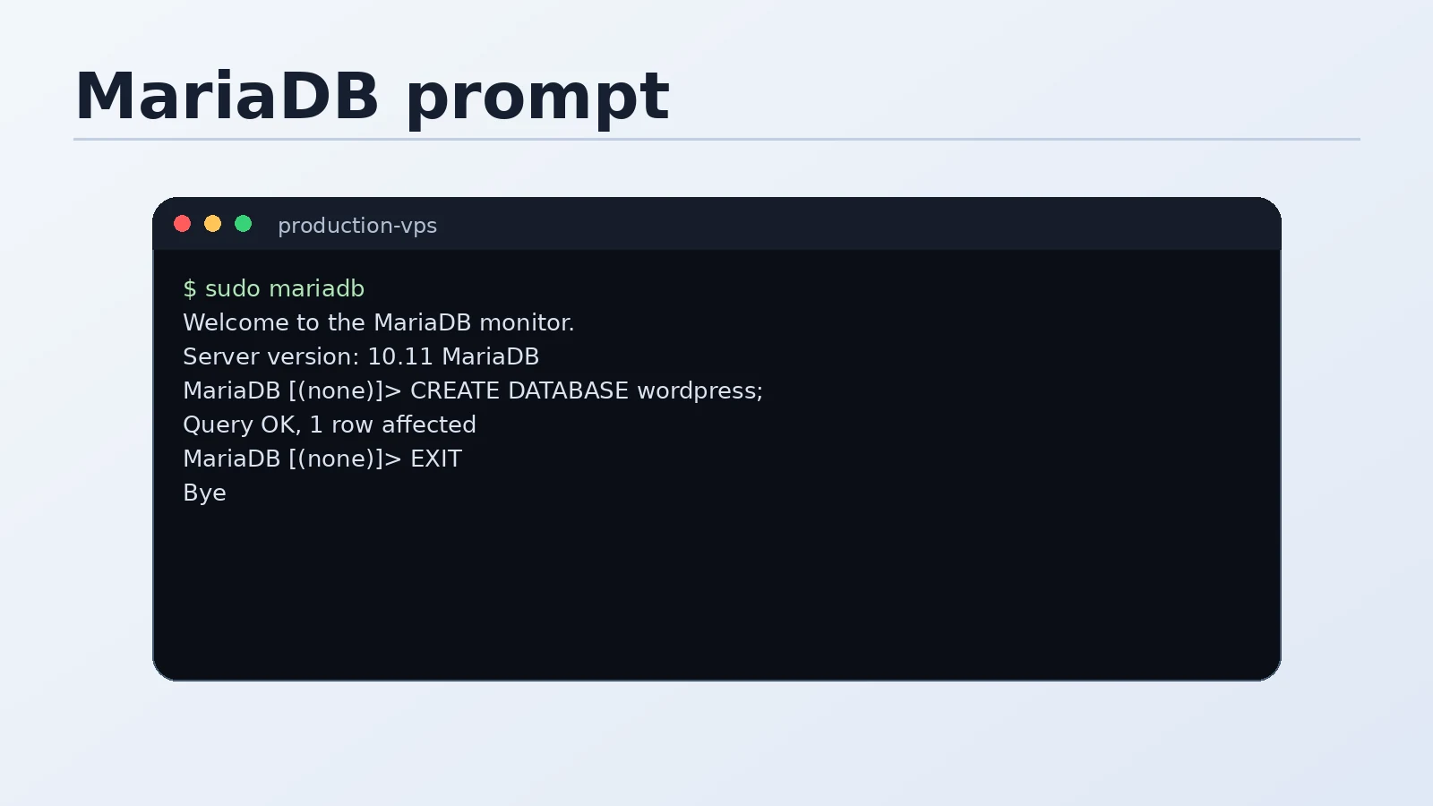 Terminal showing the MariaDB prompt — MariaDB [(none)]> with cursor