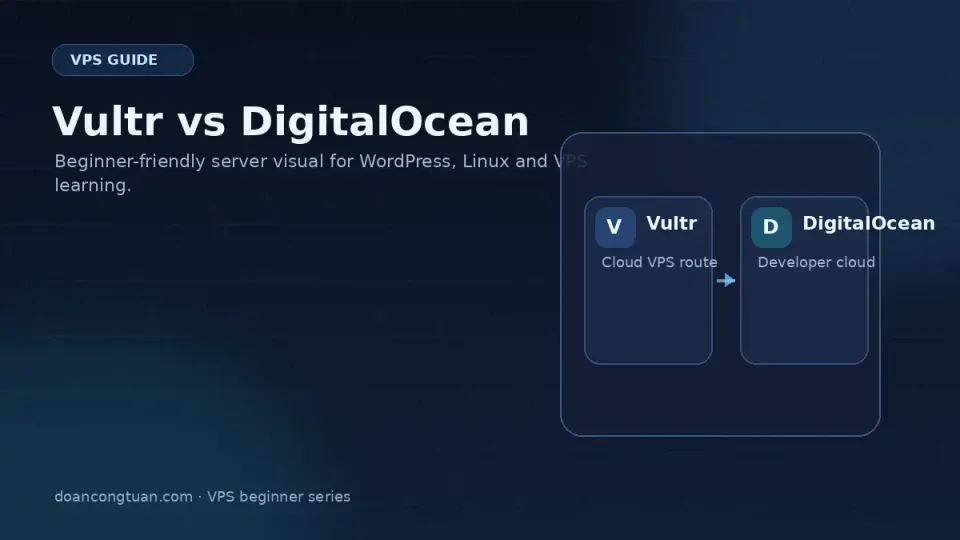 Three VPS provider logos side by side — Vultr, DigitalOcean, and Hetzner — on a comparison background